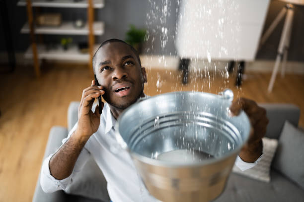 Water damage restoration experts in Tierra Verde, FL