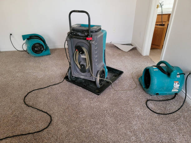 Best Carpet water damage restoration  in Tierra Verde, FL