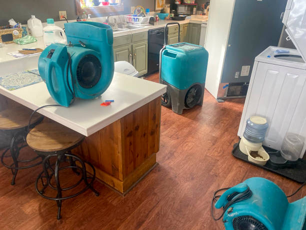 Best 24/7 water damage repair  in Tierra Verde, FL