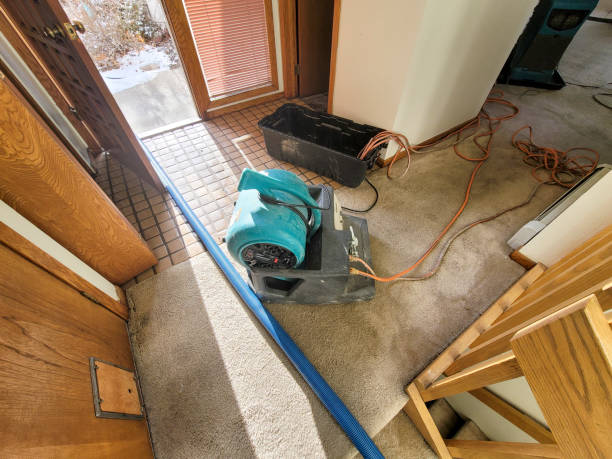 24/7 water damage repair in Tierra Verde, FL