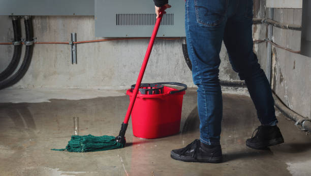Best 24/7 water damage repair  in Tierra Verde, FL