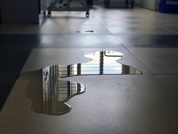 Best Water damage restoration cost  in Tierra Verde, FL