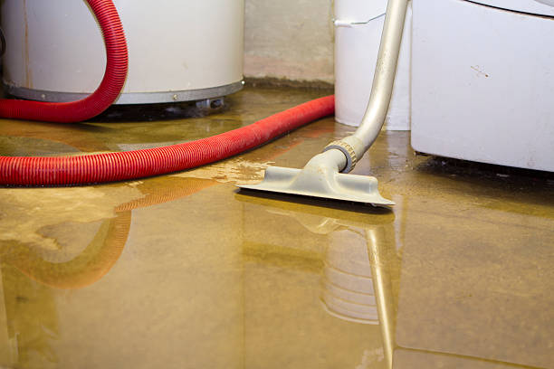 Best Water damage restoration mold remediation  in Tierra Verde, FL