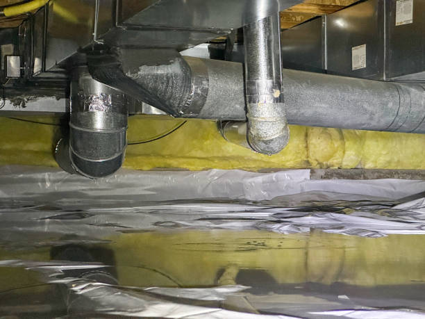 Reliable Tierra Verde, FL Water damage restoration Solutions