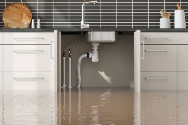 Best Flood restoration services  in Tierra Verde, FL