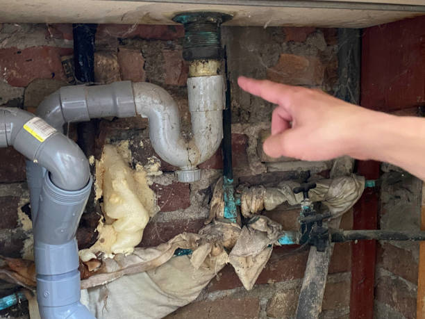 Best Ceiling water damage repair  in Tierra Verde, FL