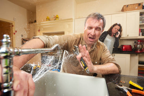 Best Fire Damage Restoration  in Tierra Verde, FL